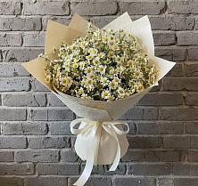 Букет цветов из:  Ромашки в Разметелево