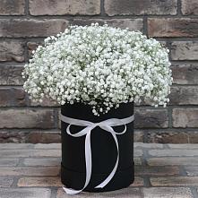 Цветочная композиция из Гипсофила в шляпной коробке в Разметелево