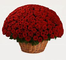 Премиум букет из: Розы в Разметелево